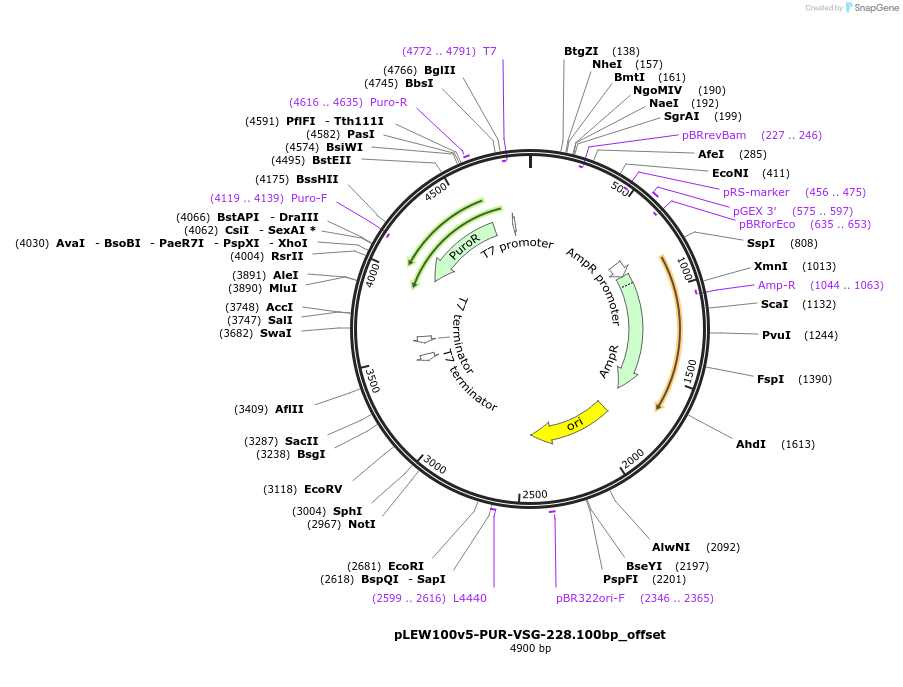 494080_map