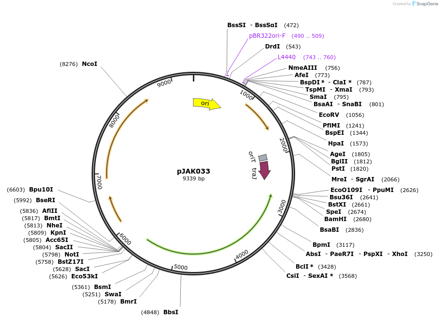 494094_map