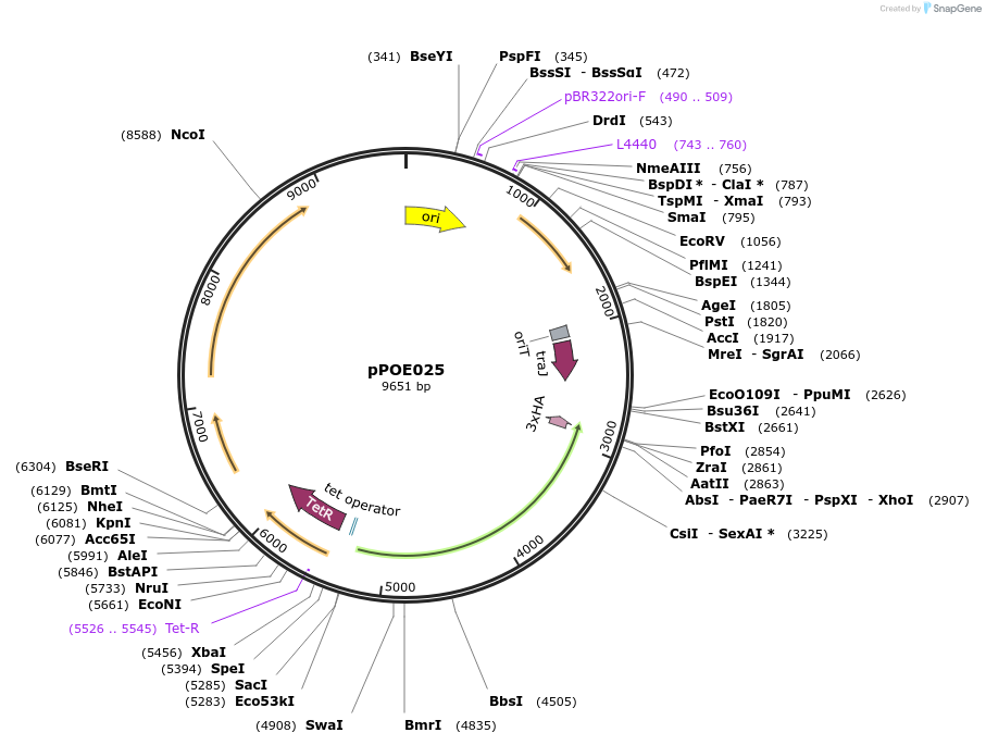 494096_map