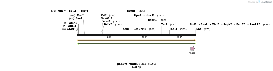 494125_map