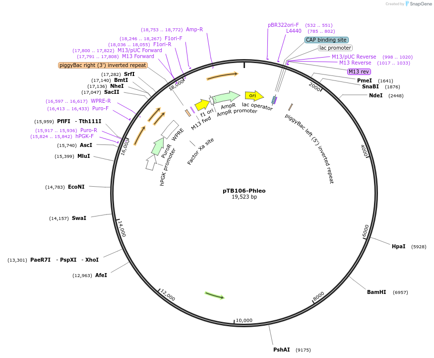 494140_map