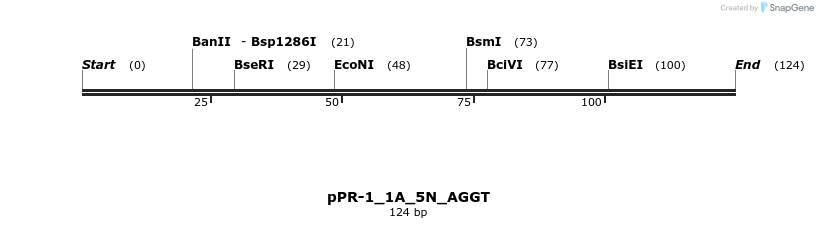 494159_map