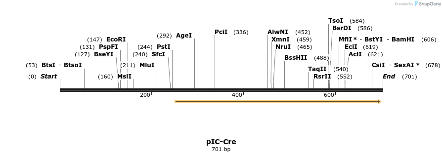 49416_map