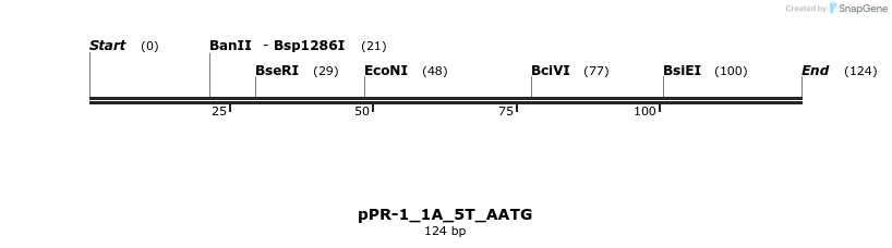 494161_map