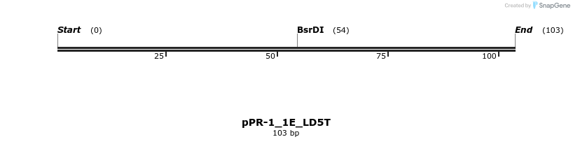 494167_map