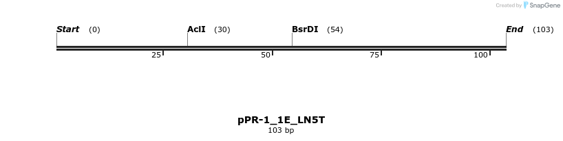 494171_map
