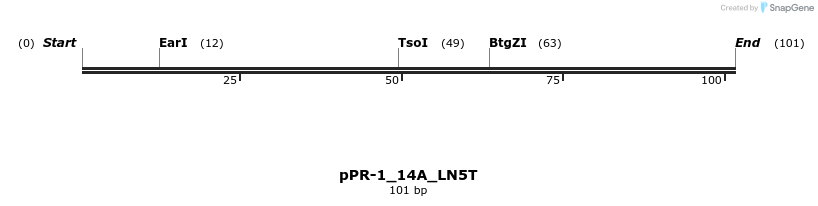494191_map