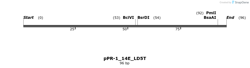 494195_map