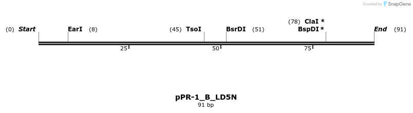494217_map
