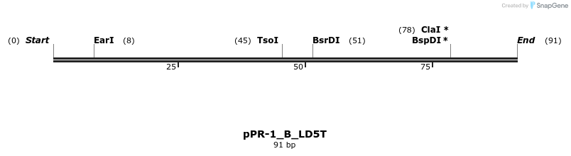 494219_map