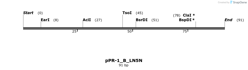 494221_map