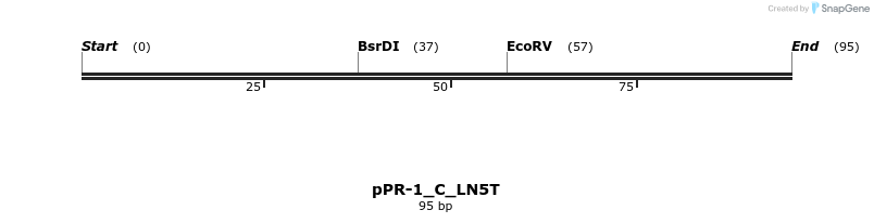 494231_map