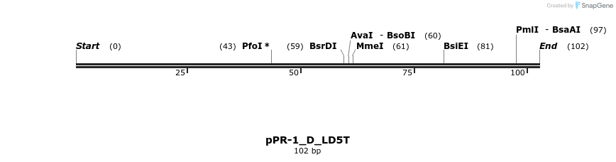 494235_map