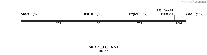 494239_map
