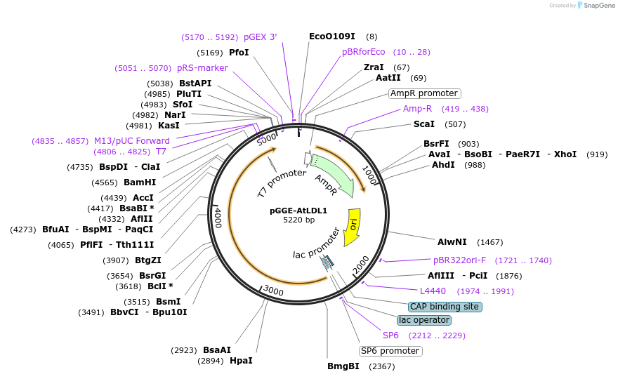494294_map