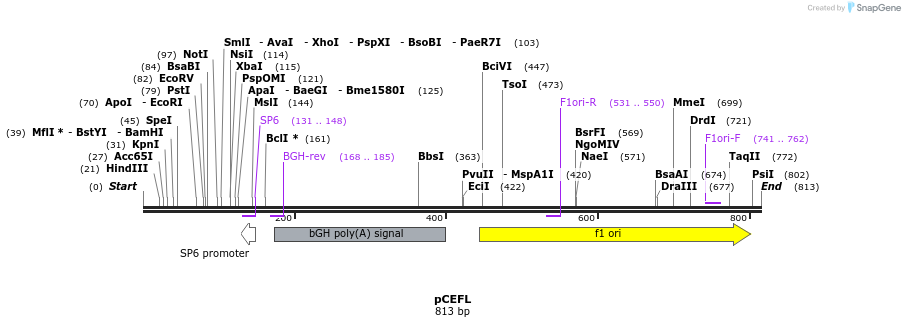 49430_map