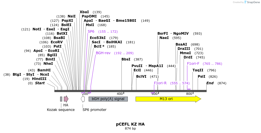 49432_map