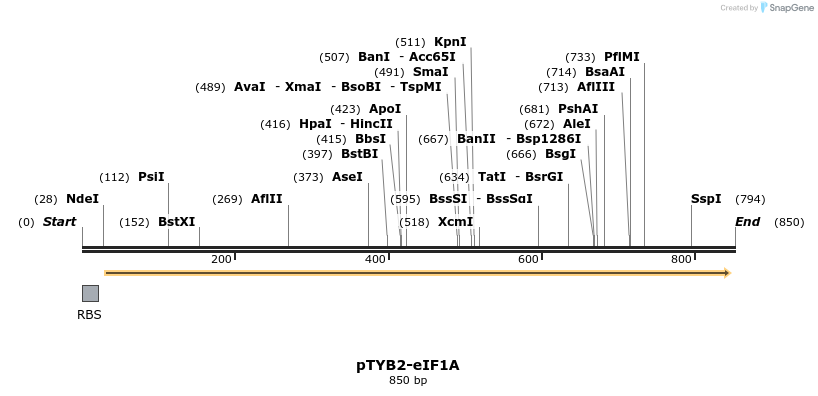 49433_map