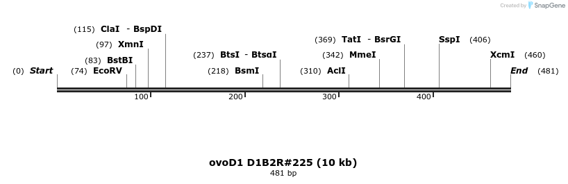 49434_map