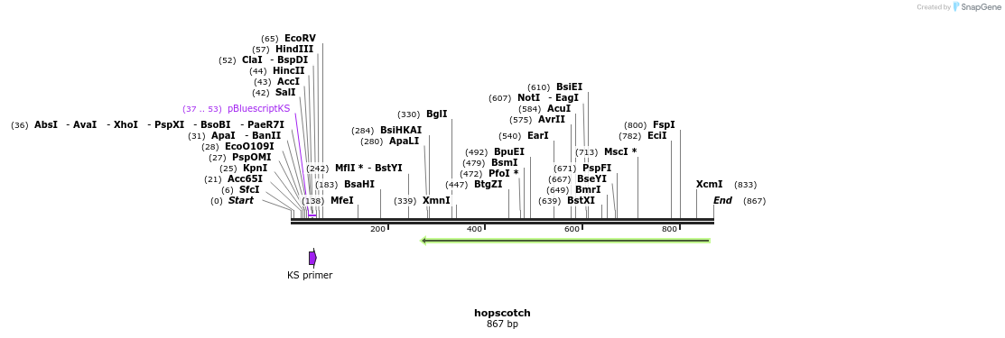49436_map