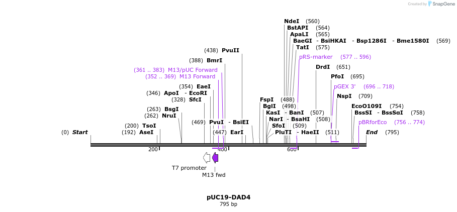 49437_map