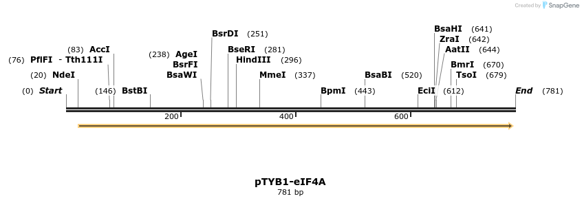 49440_map
