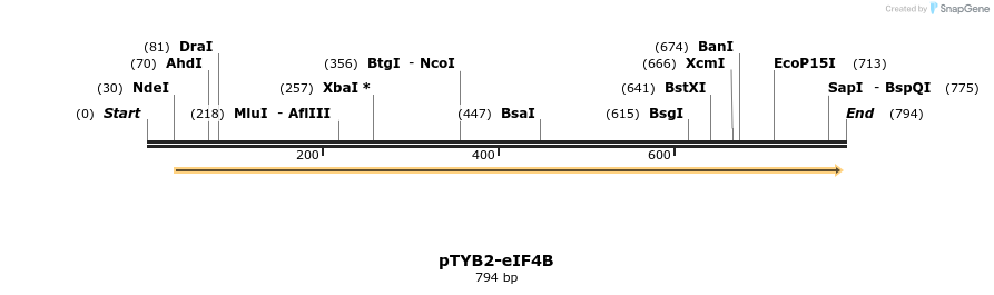 49441_map
