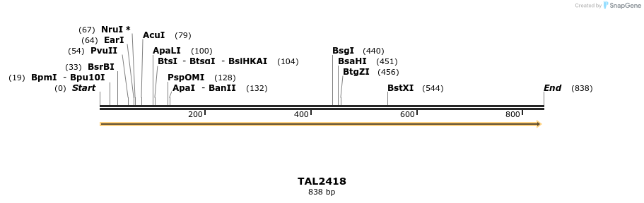 49448_map