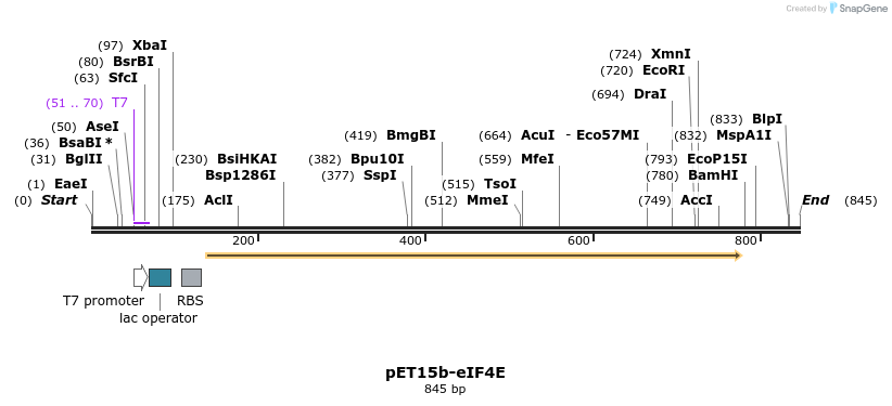 49449_map