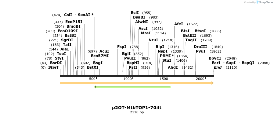 494508_map