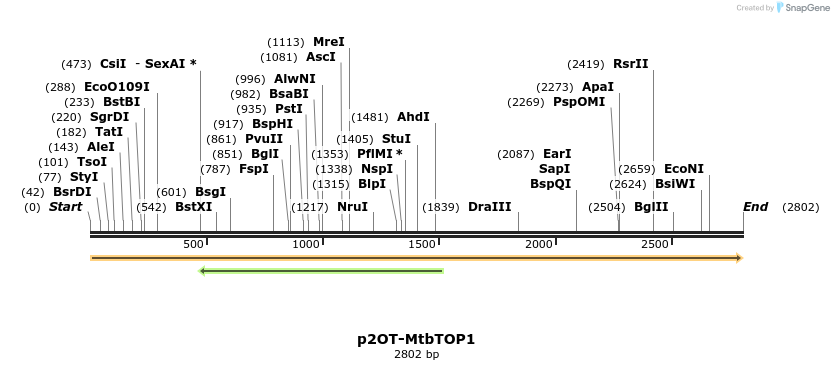 494509_map