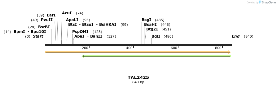 49453_map