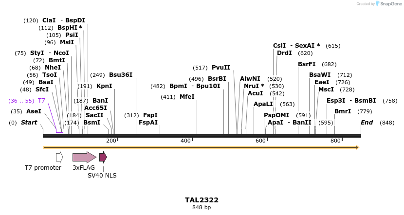 49455_map