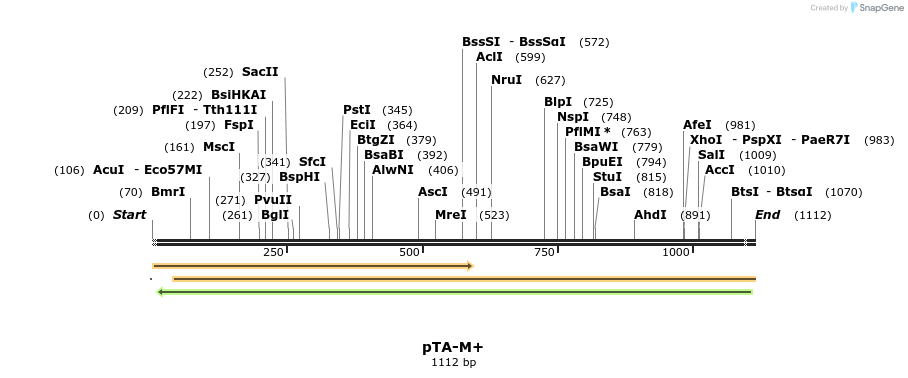 494559_map