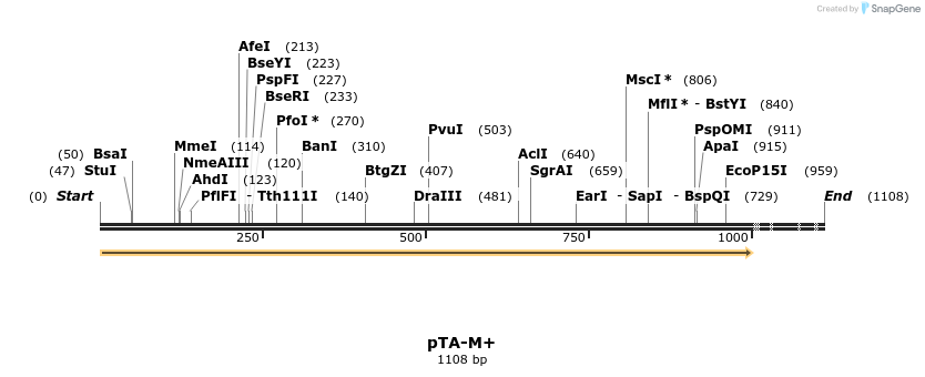 494560_map