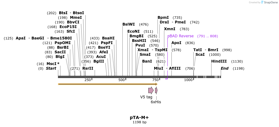 494561_map
