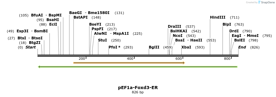 49461_map