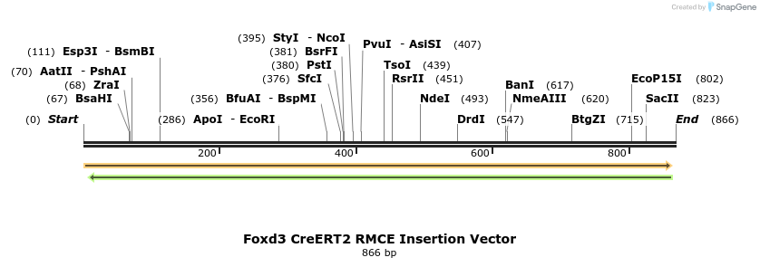 49466_map