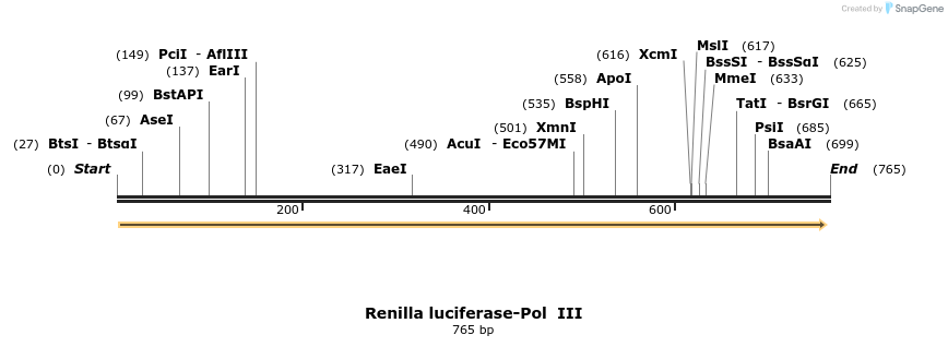 49467_map