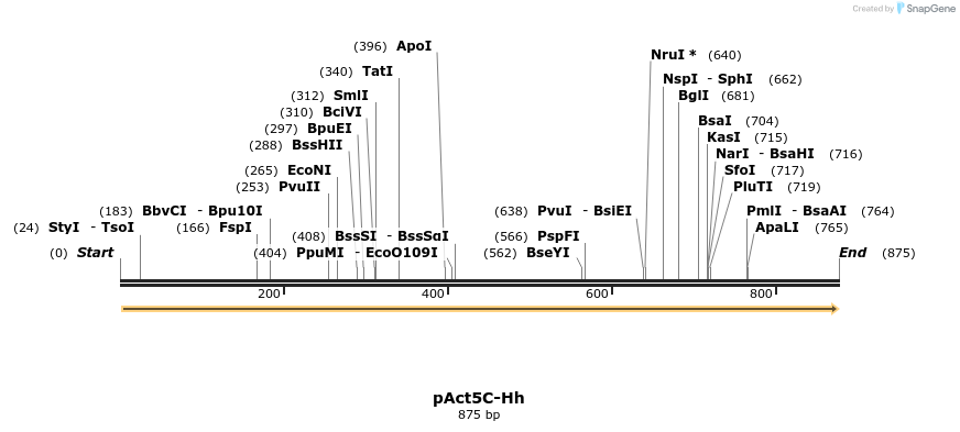 49470_map