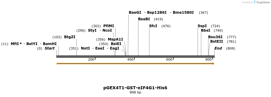 49471_map