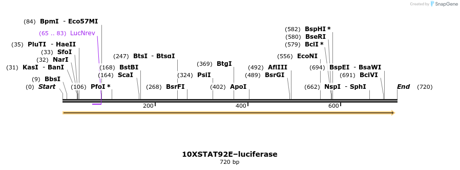 49474_map