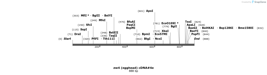 49476_map