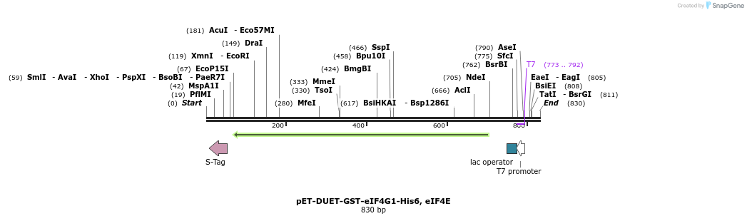 49478_map