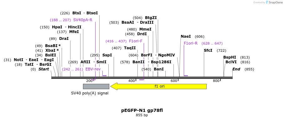 49479_map