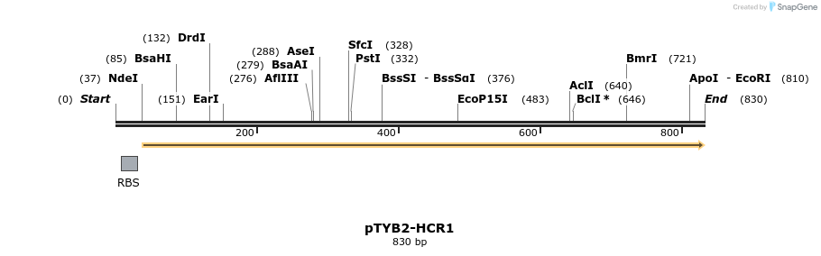 49480_map