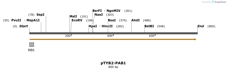 49482_map