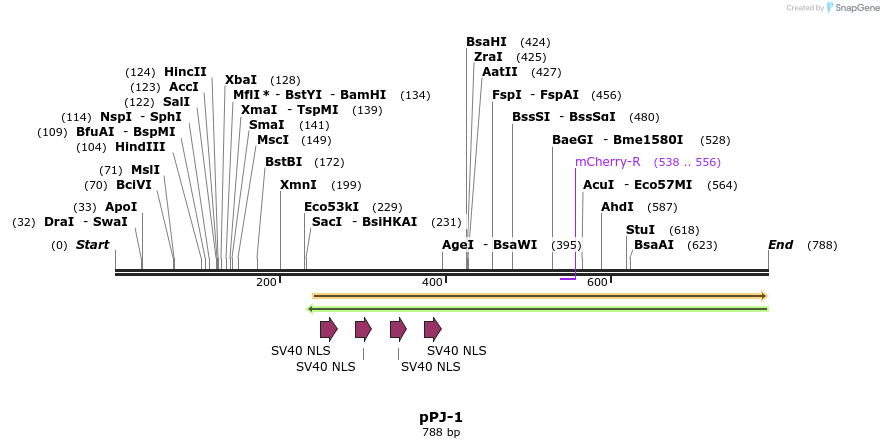 49484_map