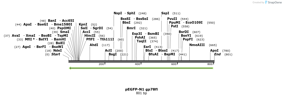 49485_map