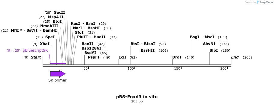 49489_map